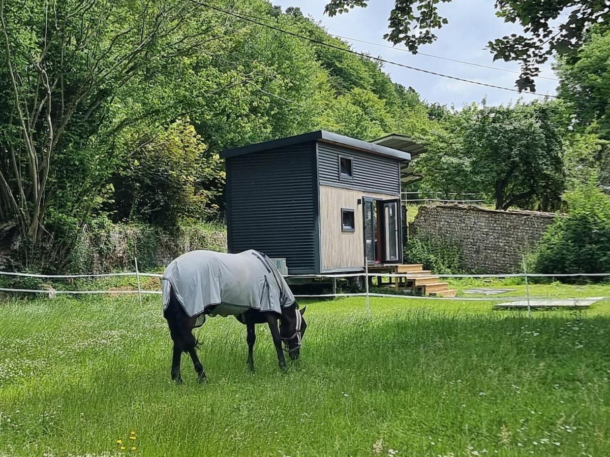 Le Petit Haras De
